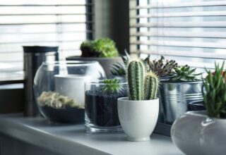 Sustainable Style: Eco-Friendly Plant Shelf Decorating Ideas
